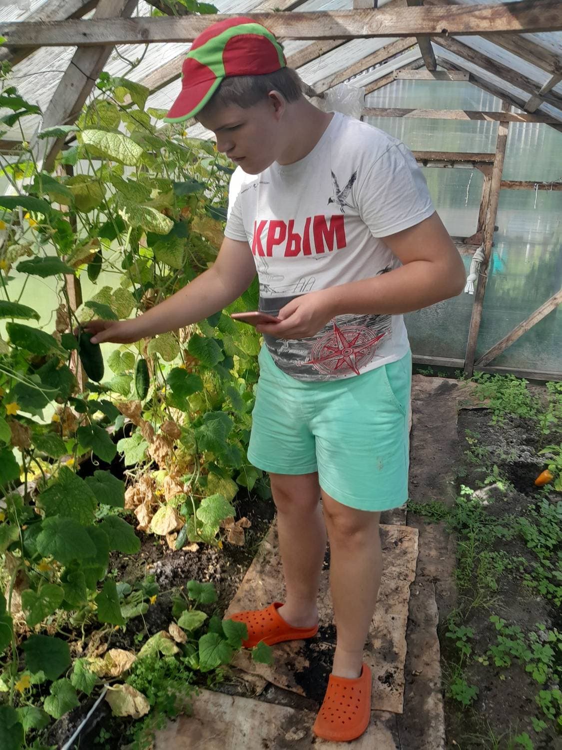 Осенняя дачуля-сентябрь. Дачный сезон 🏡❤️☀️2️⃣0️⃣2️⃣4️⃣.