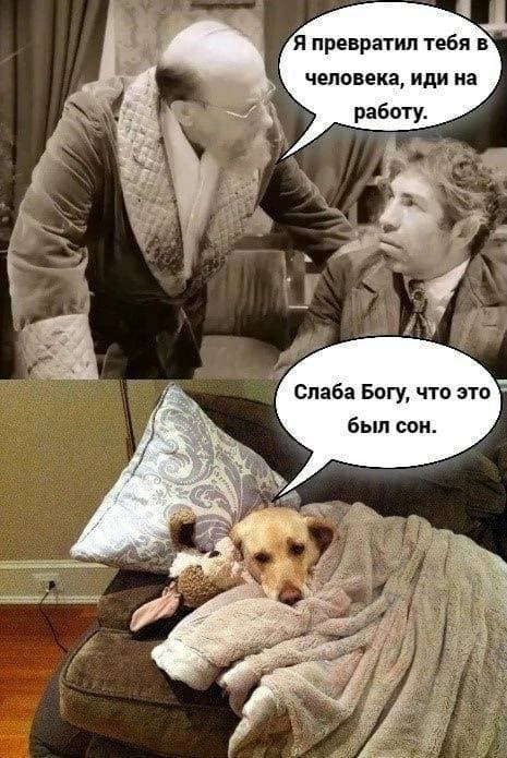 😂😂😂