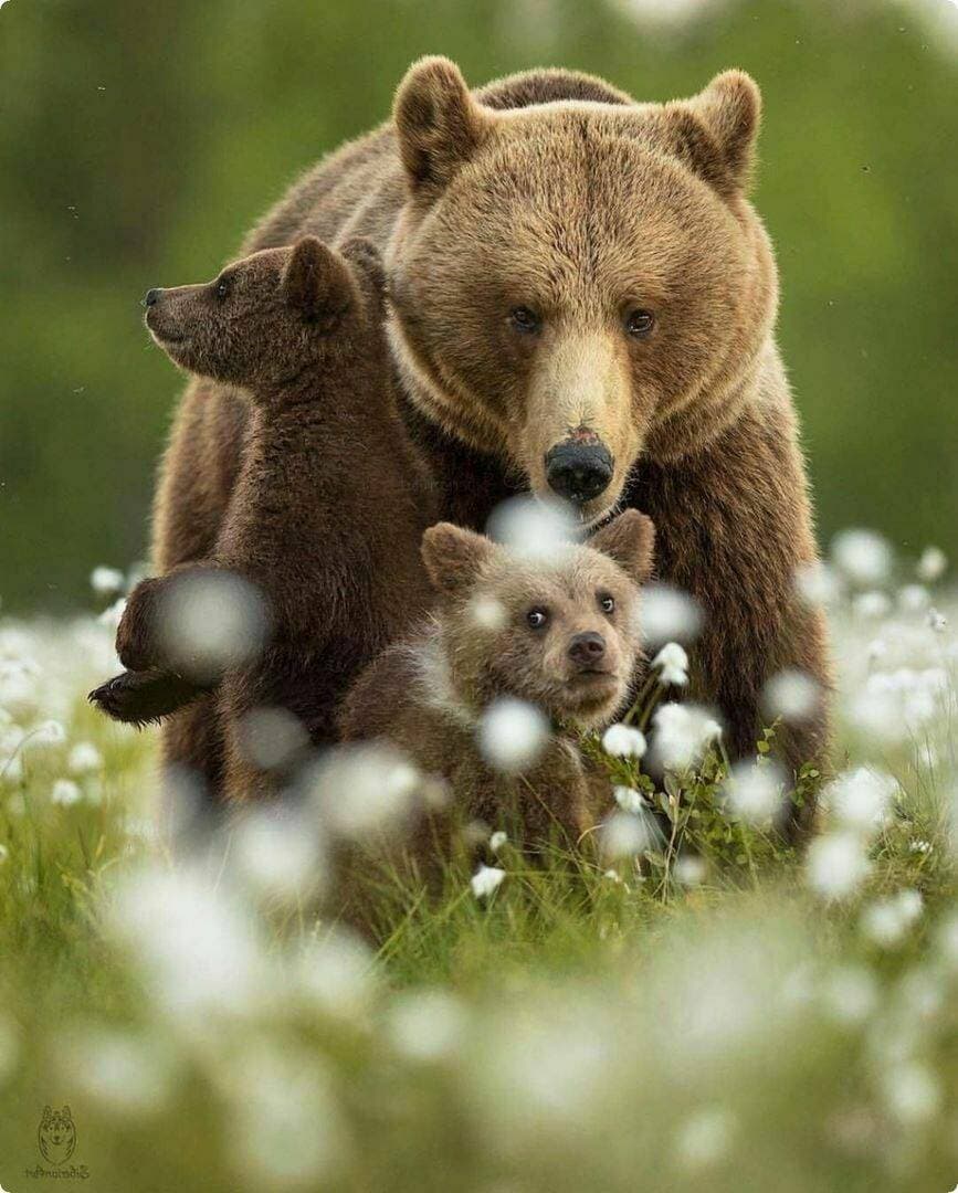 семья ❤️