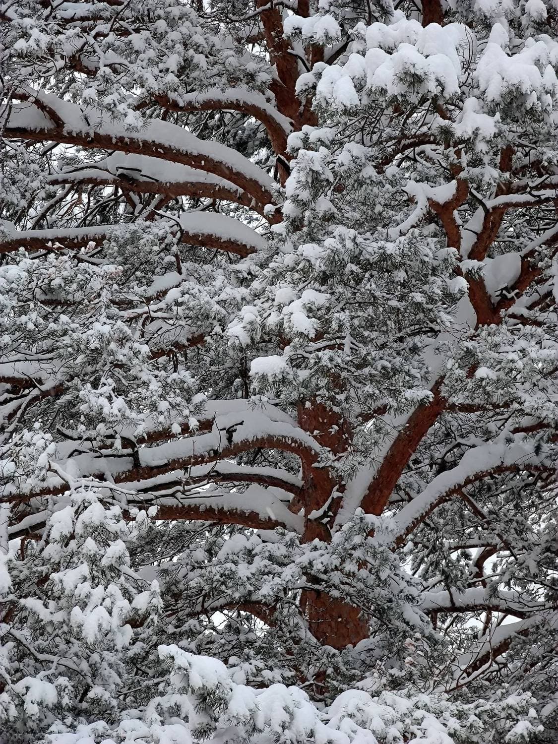 ❄️☃️ зима - продолжается 😏
