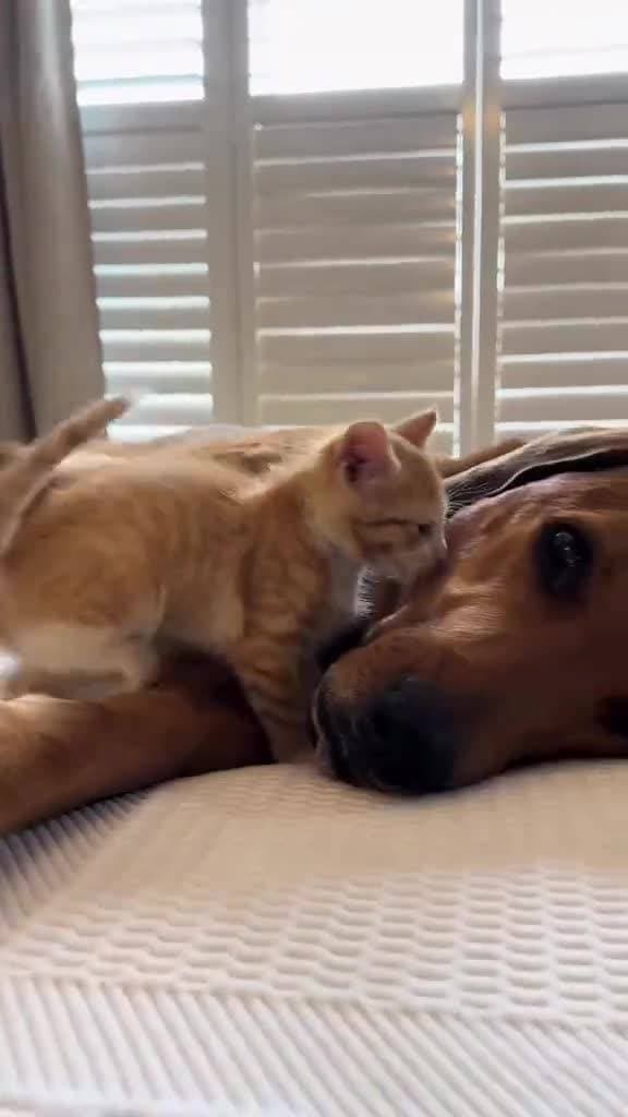 нежность ❤️