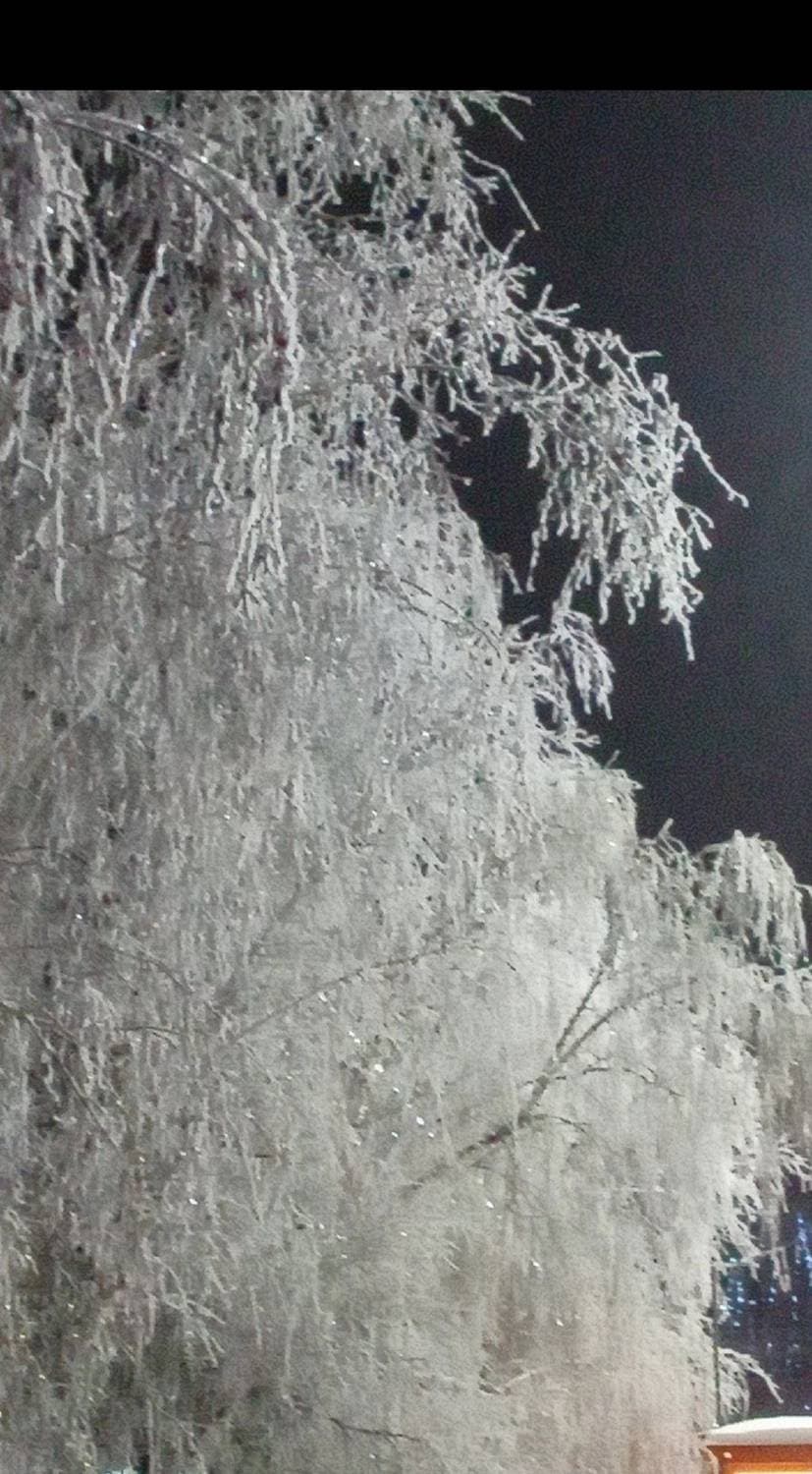 зима