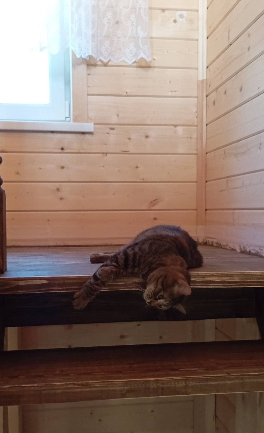 Коша-Мура 💕😍