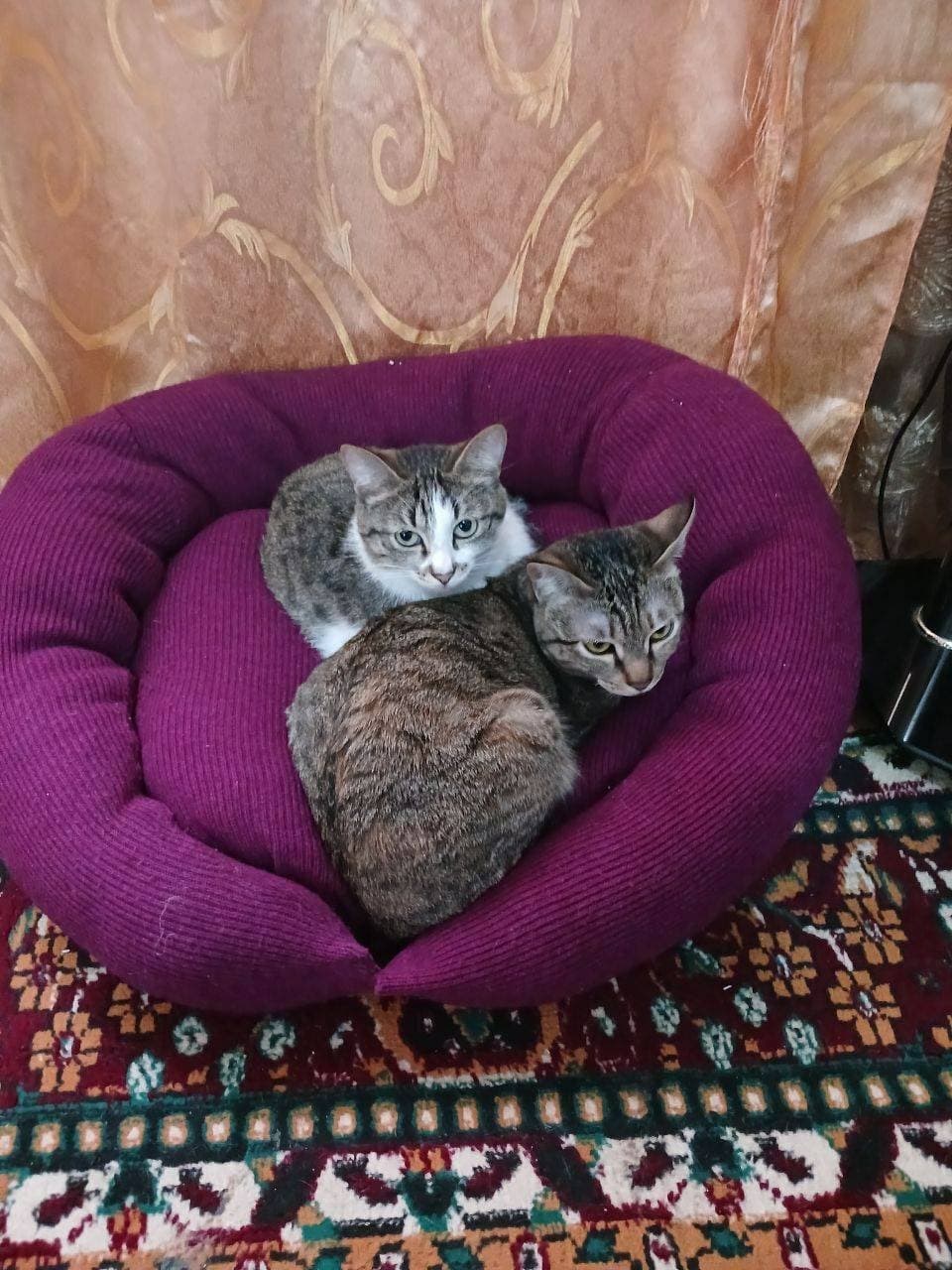 милые ❤️