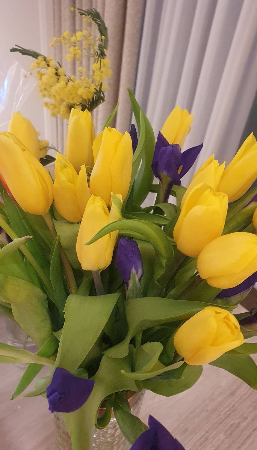 🌷