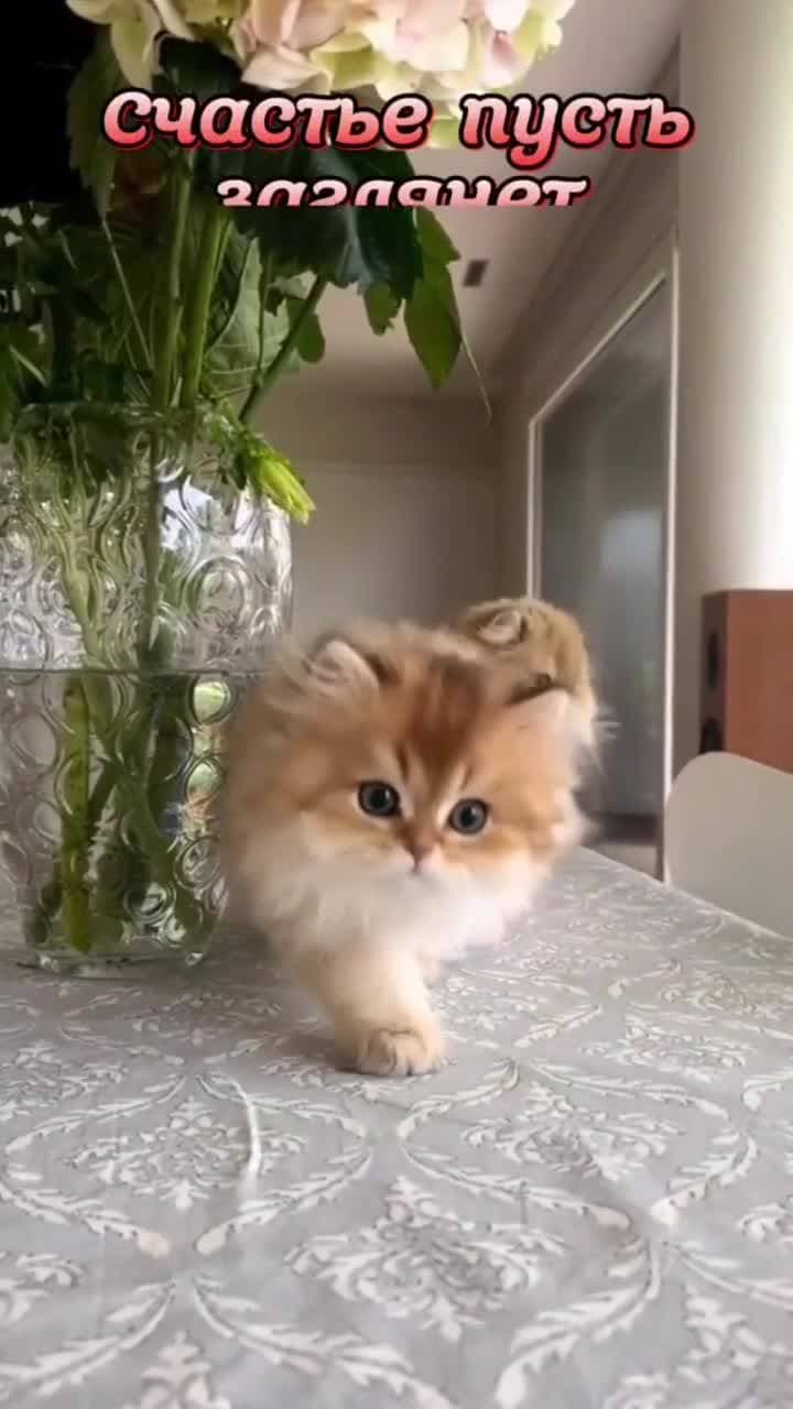 Пусть счастье улыбнётся каждому!
С первым днём весны 🍀🍀🍀