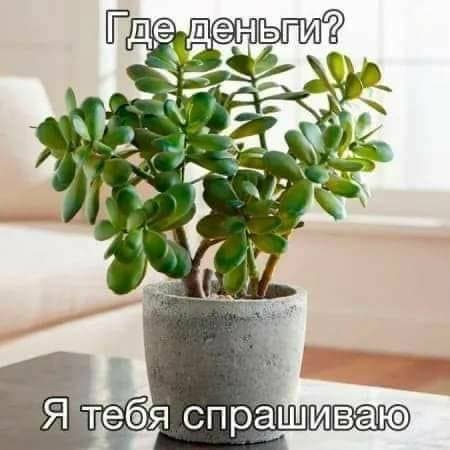 😂