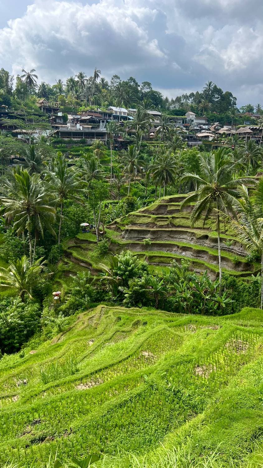 🇮🇩