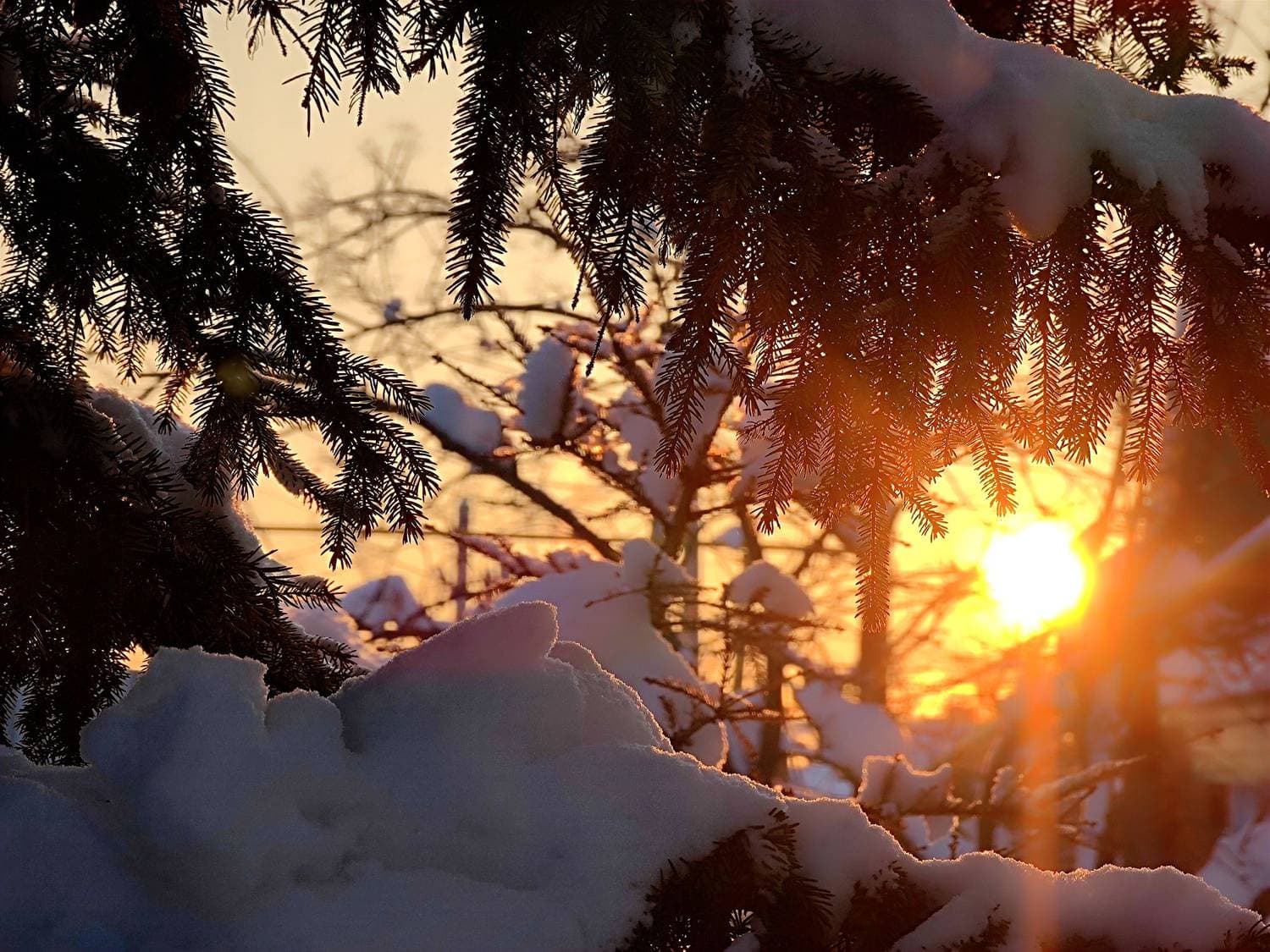 🌬️ #зима ☃️ #декабрь 🌞 #закат #swapmap