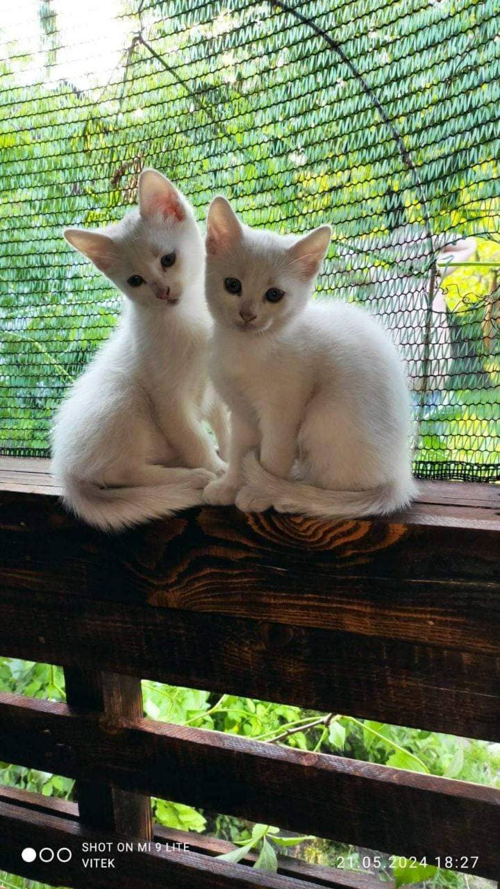 ❤️