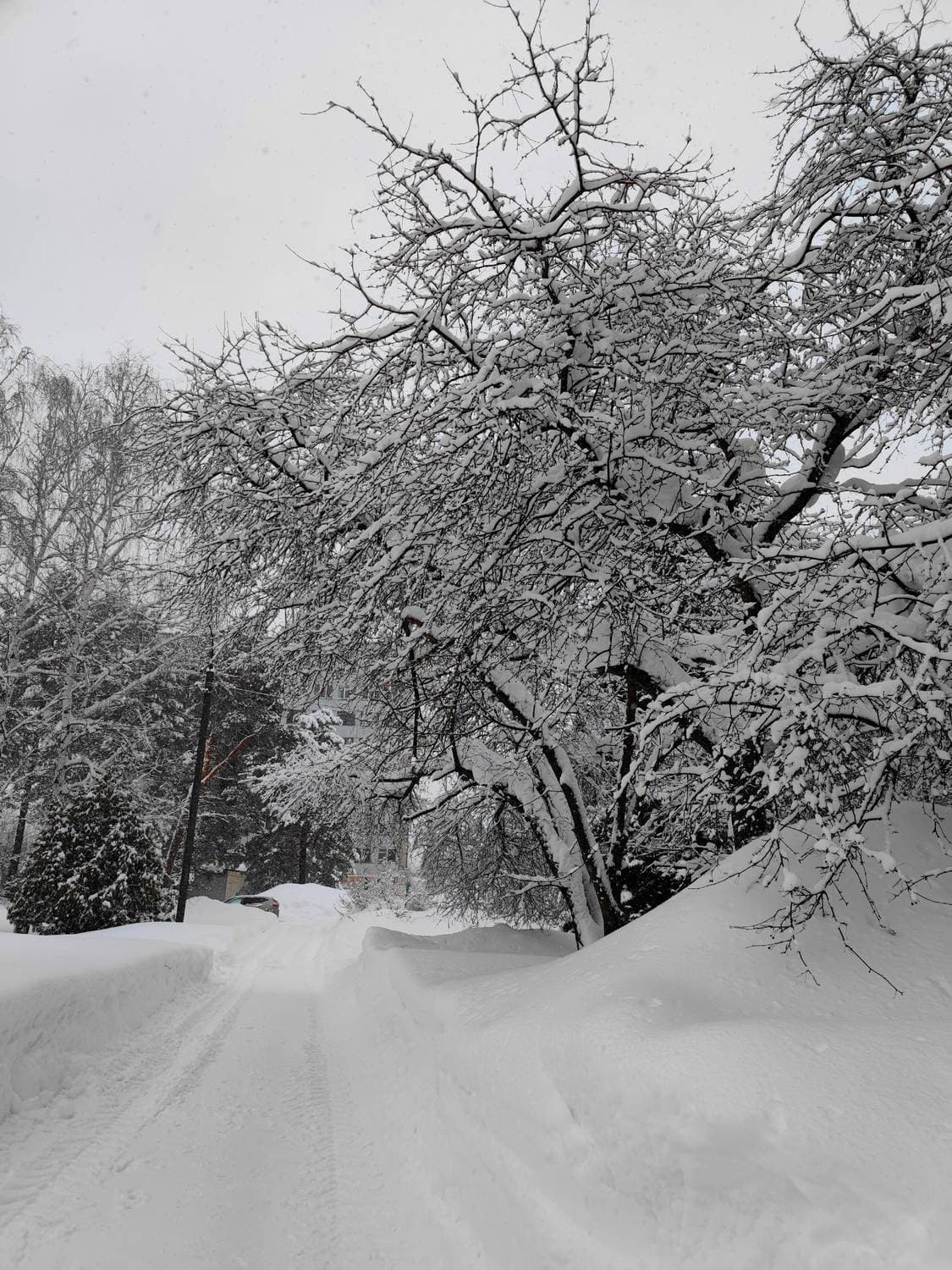 ❄️☃️ зима - продолжается 😏