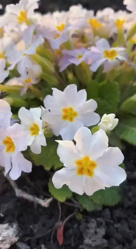 💐