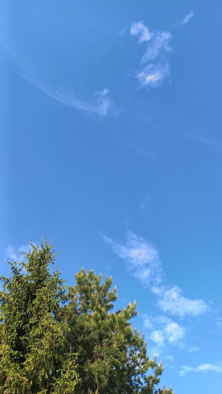 небо