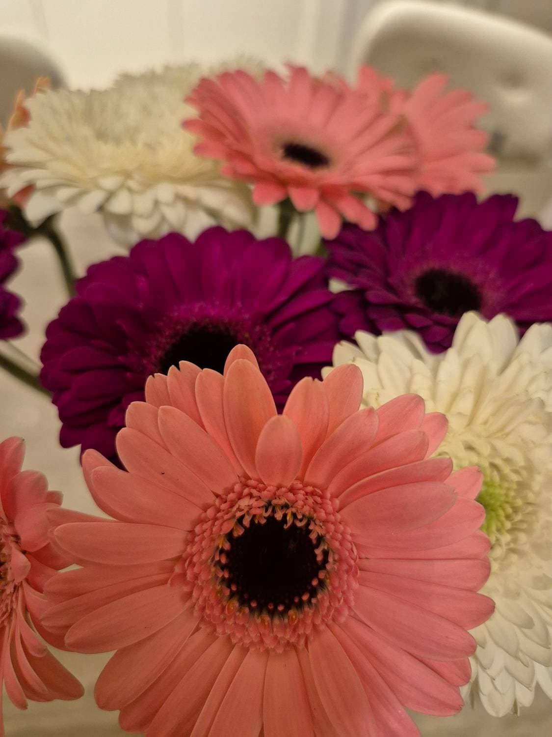 🌸🌸🌸
