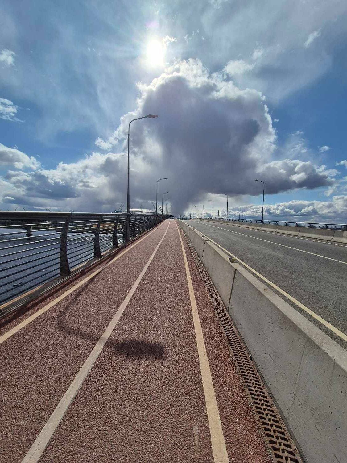 🚲