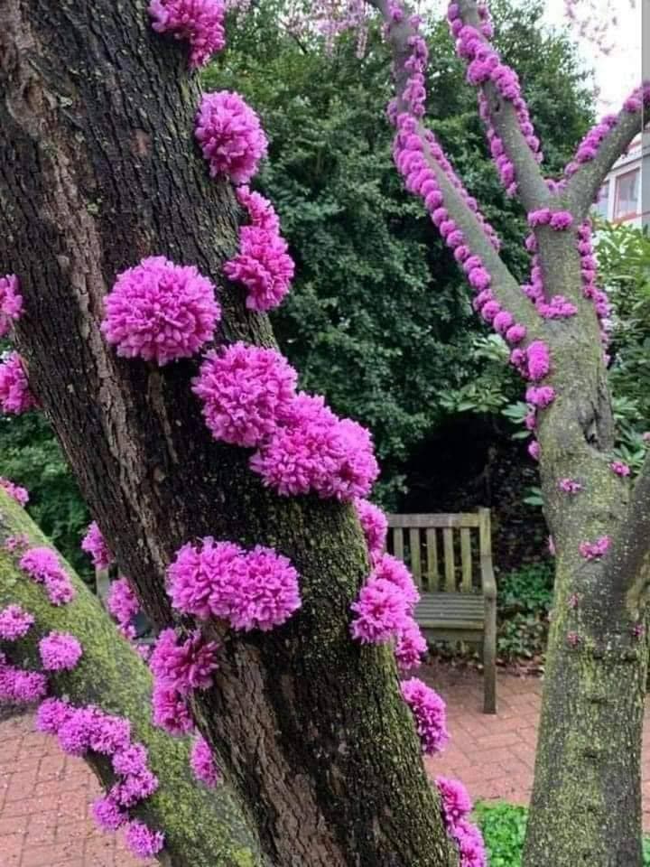 😍