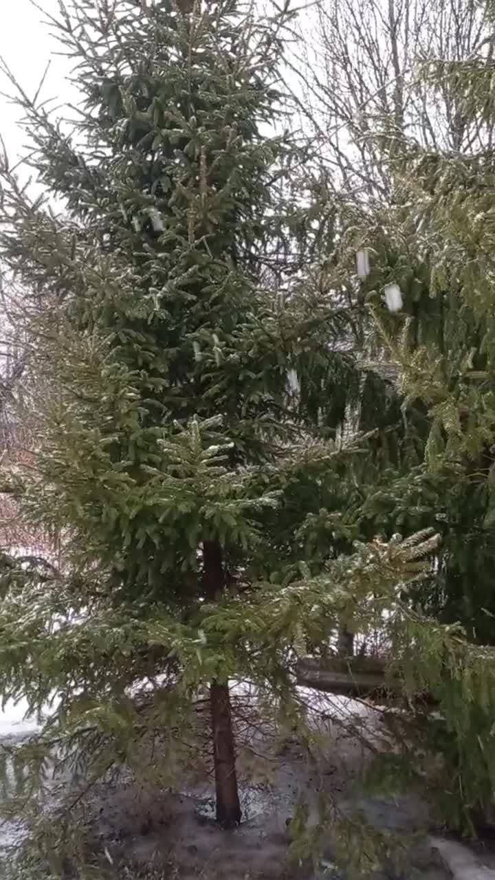 А снег ❄️ ❄️ ❄️ идёт...