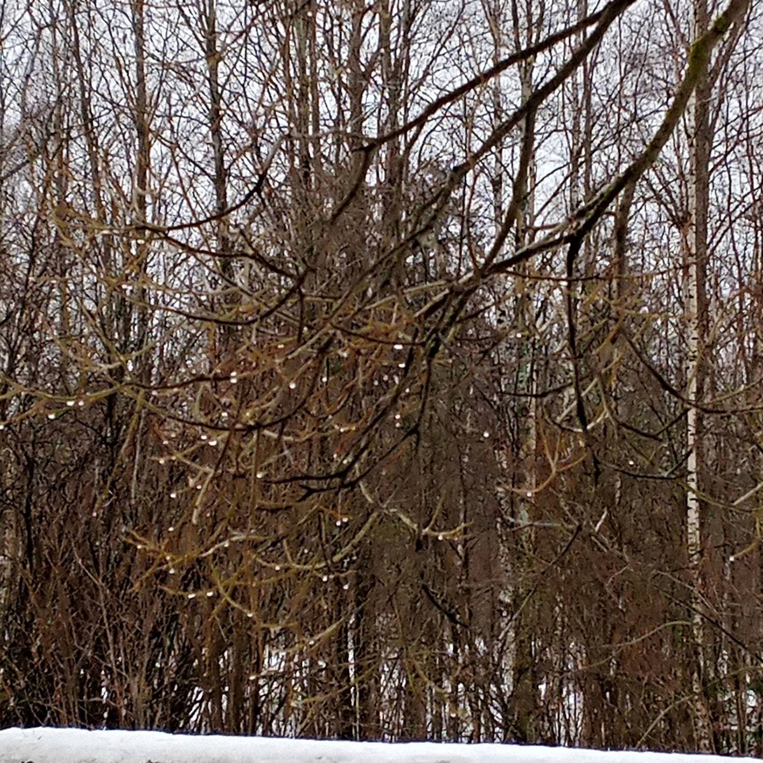 Капель💦