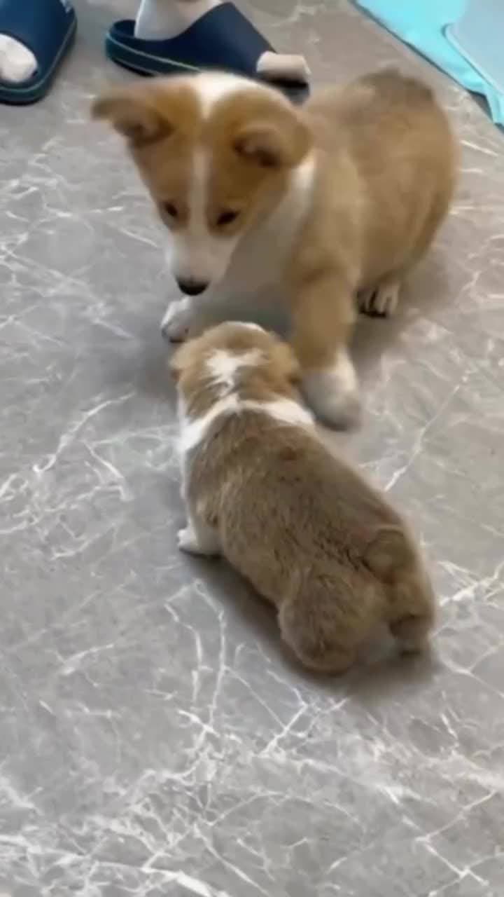 милашки ❤️