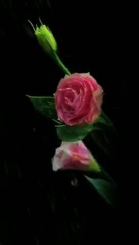 💐