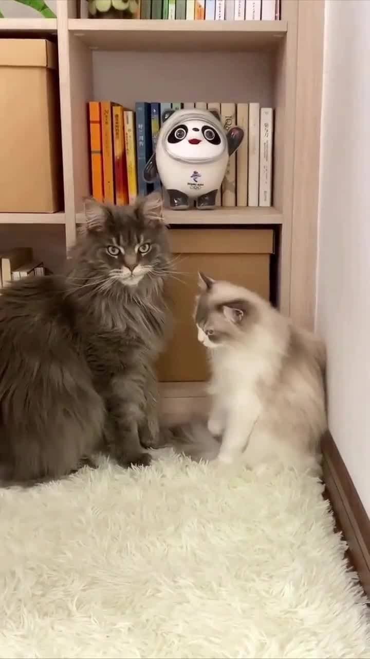 ❤️😅