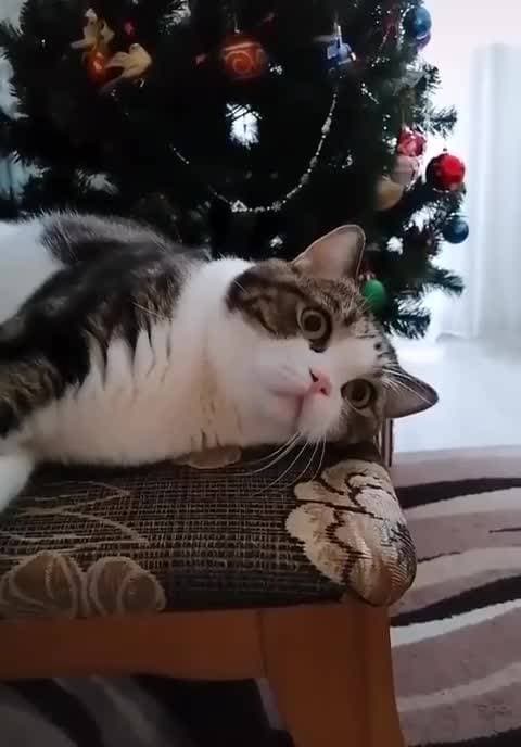 😅😍