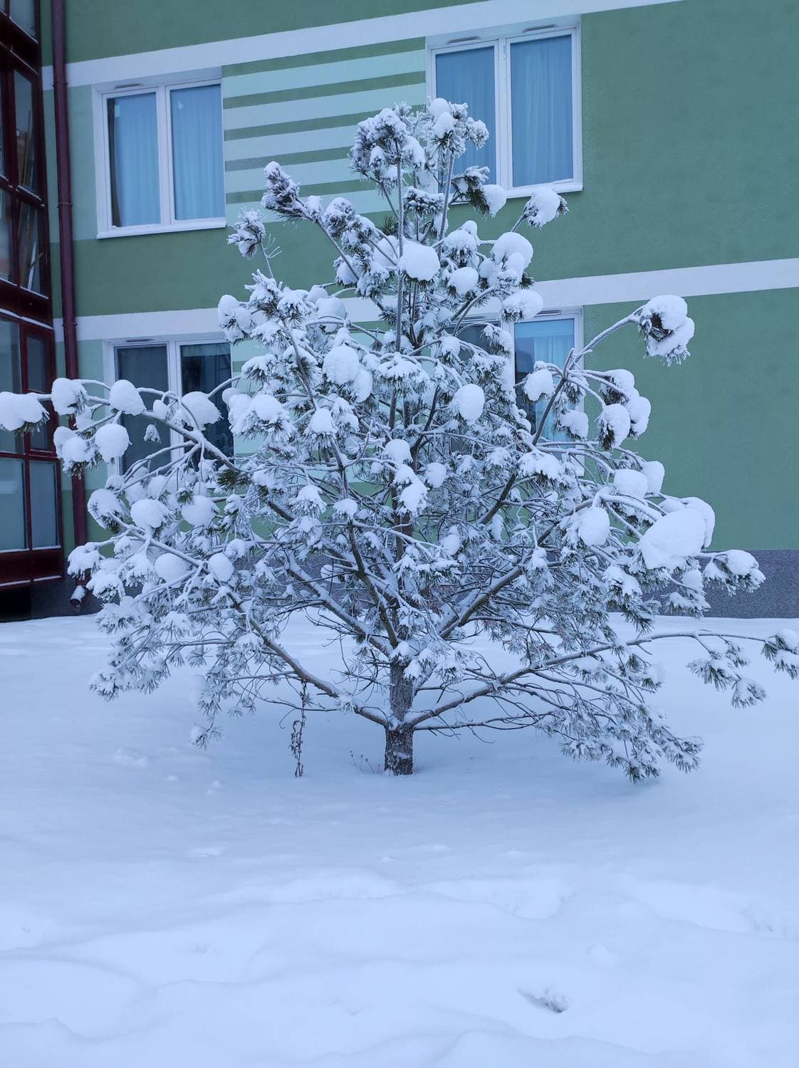 как же всё красиво