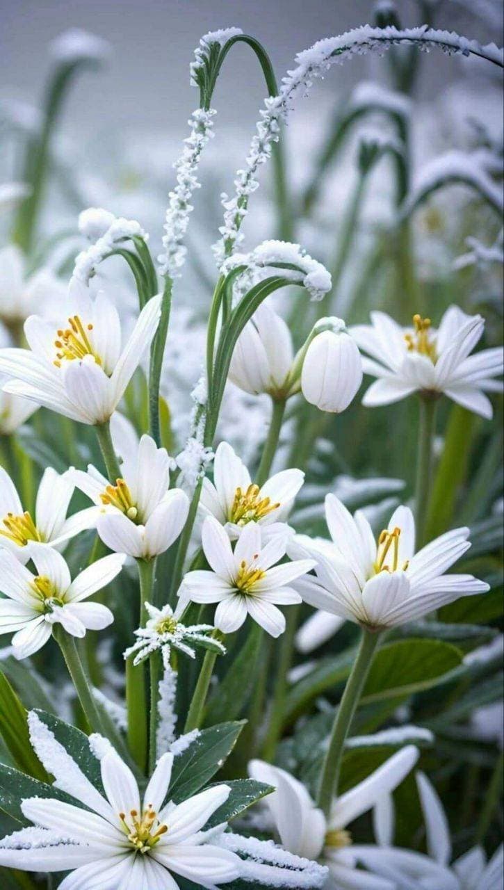 💐