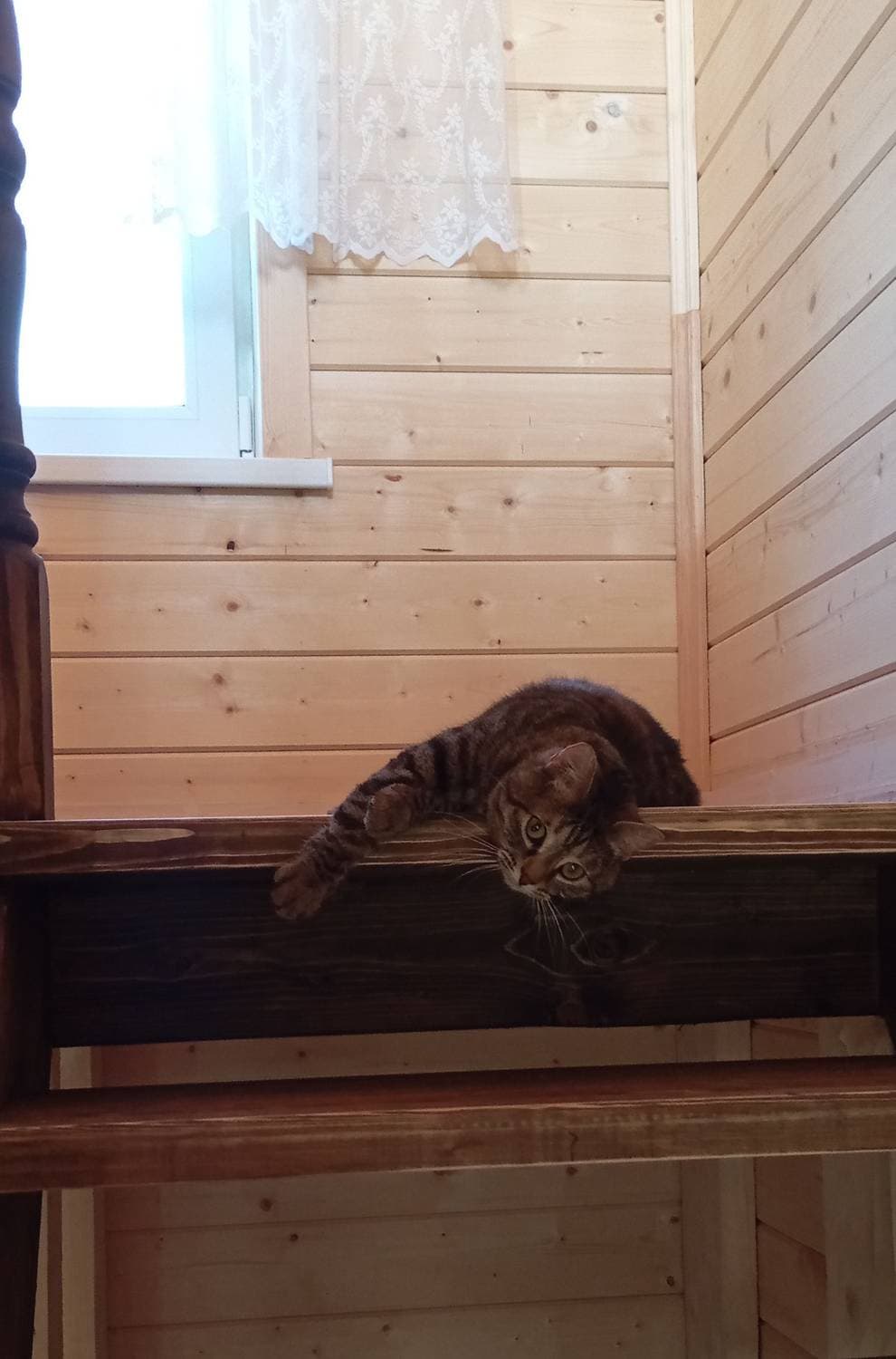 Коша-Мура 💕😍