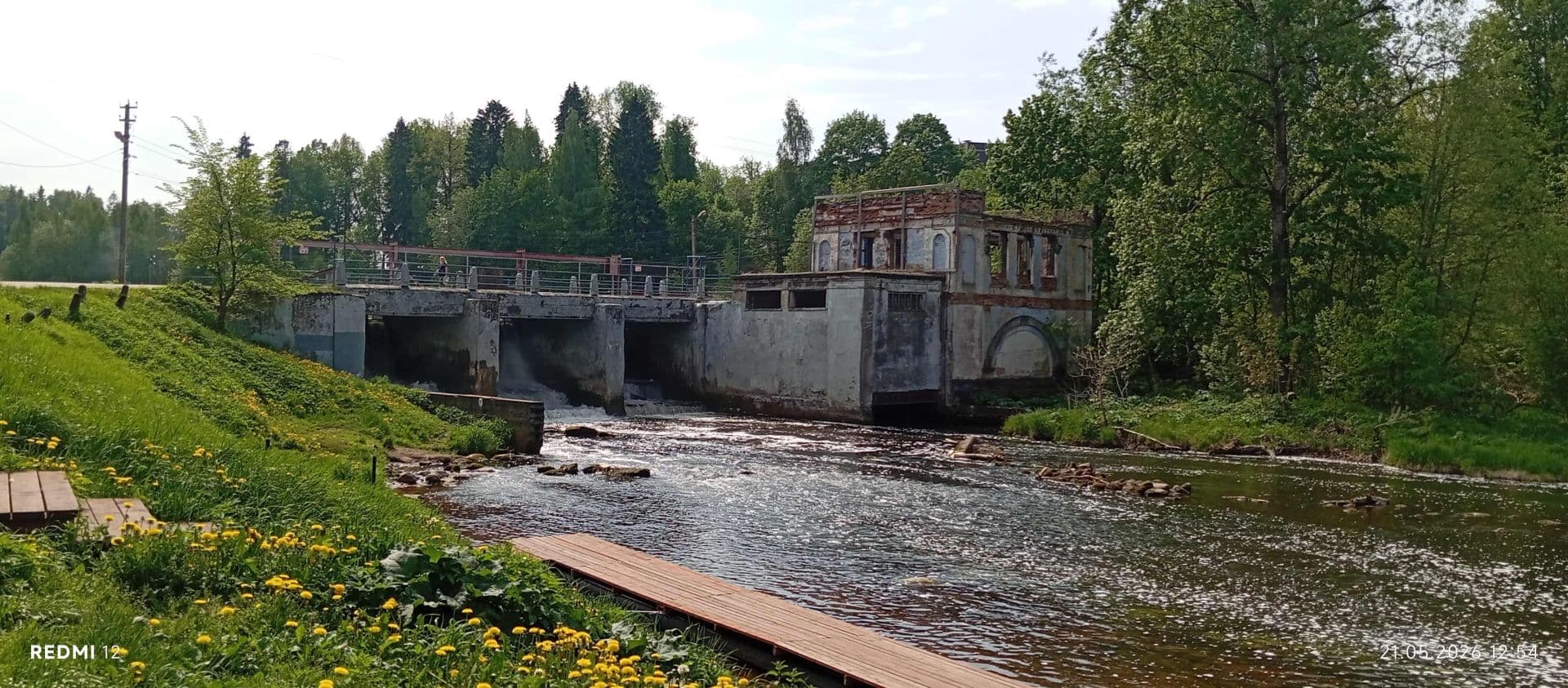 ✨прогулка по берегу реки Оредеж в Сиверской💞