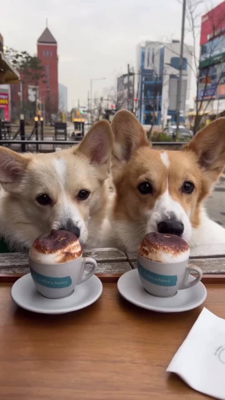 утреннее кофе 😍