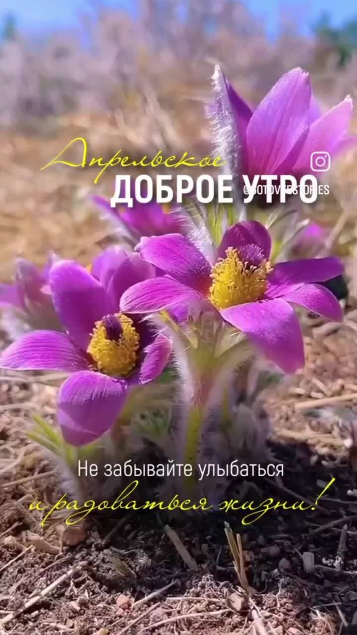 😍