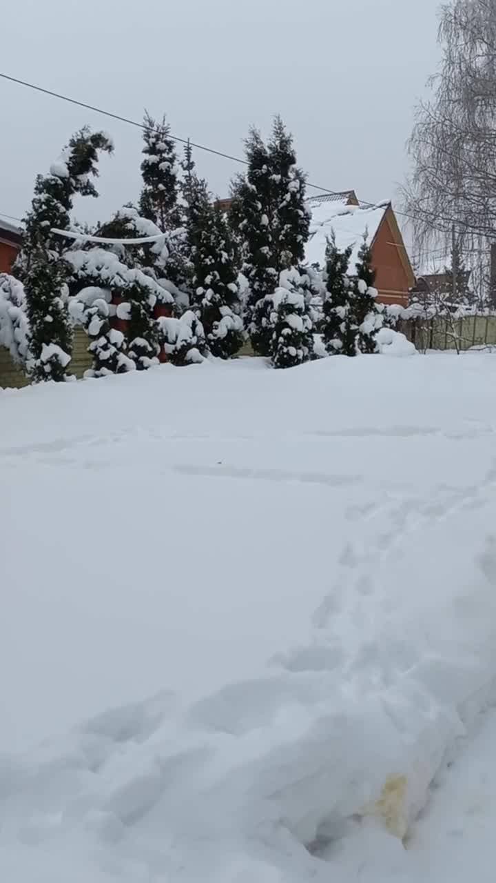 контрасты..