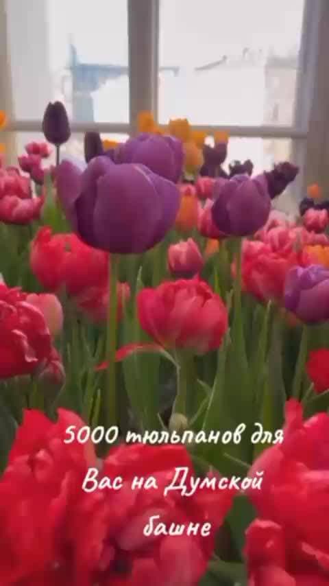 Думская башня. Комфортный подъём. Весь Невский под ногами.