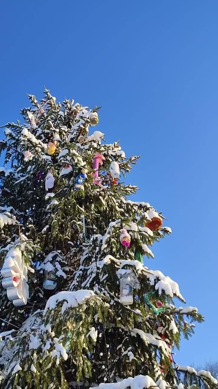 снежное и морозное ❄