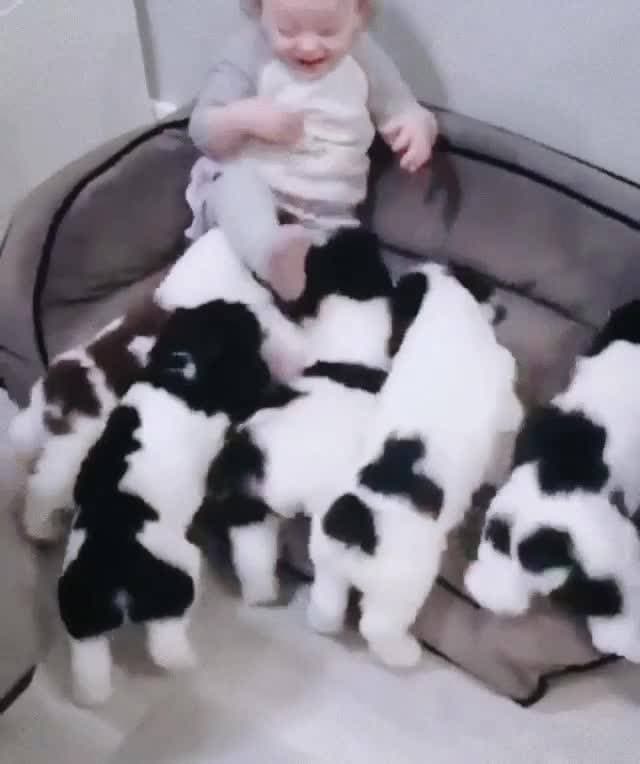 как мило ❤️