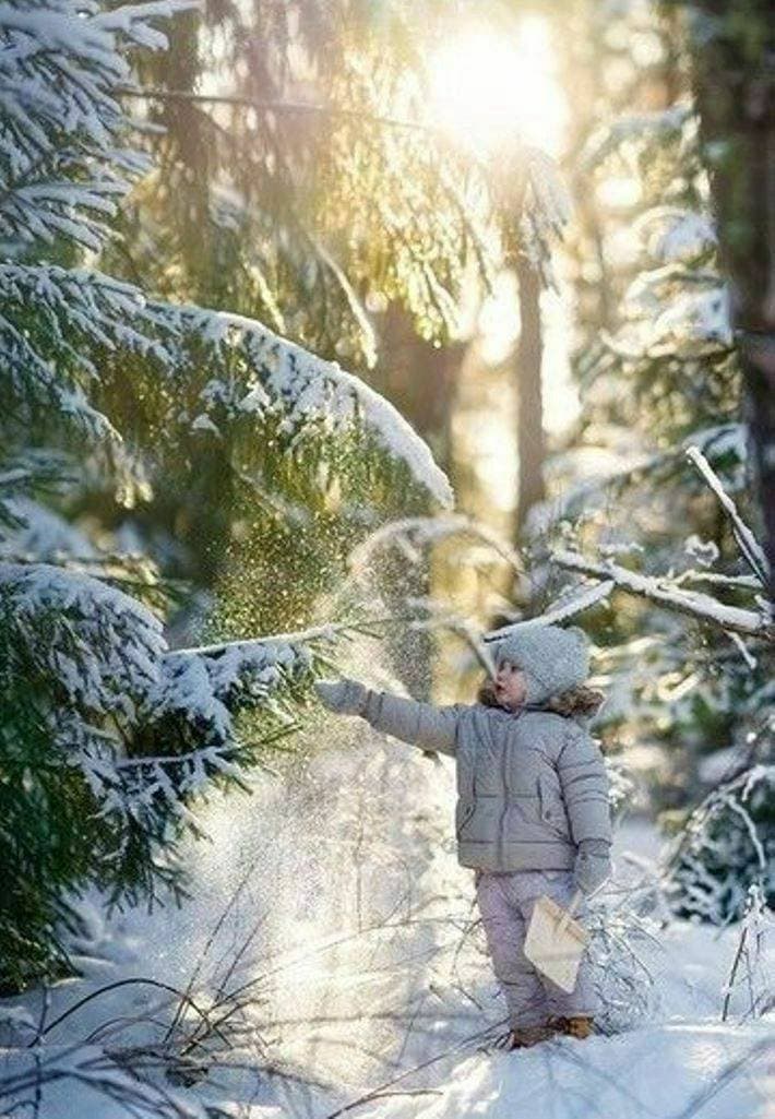 ❄️❄️❄️