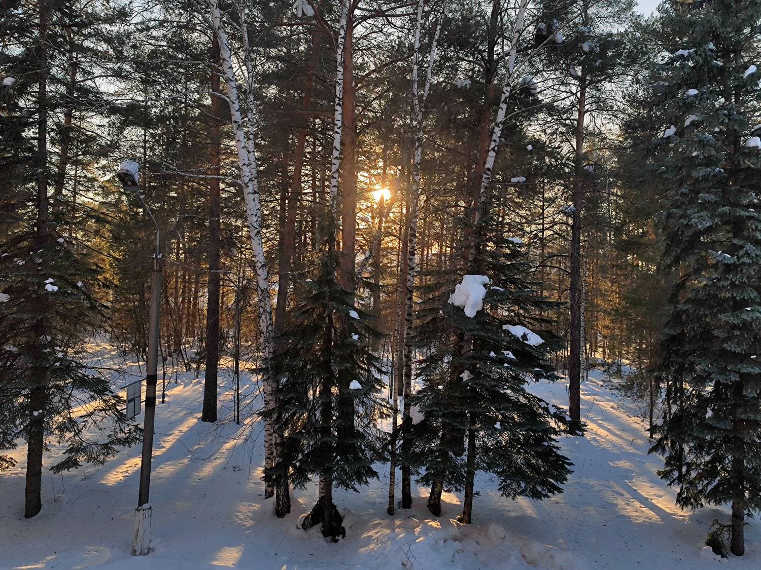 #зима 😌 всё ещё зима 
#февраль ❄️последние его деньки