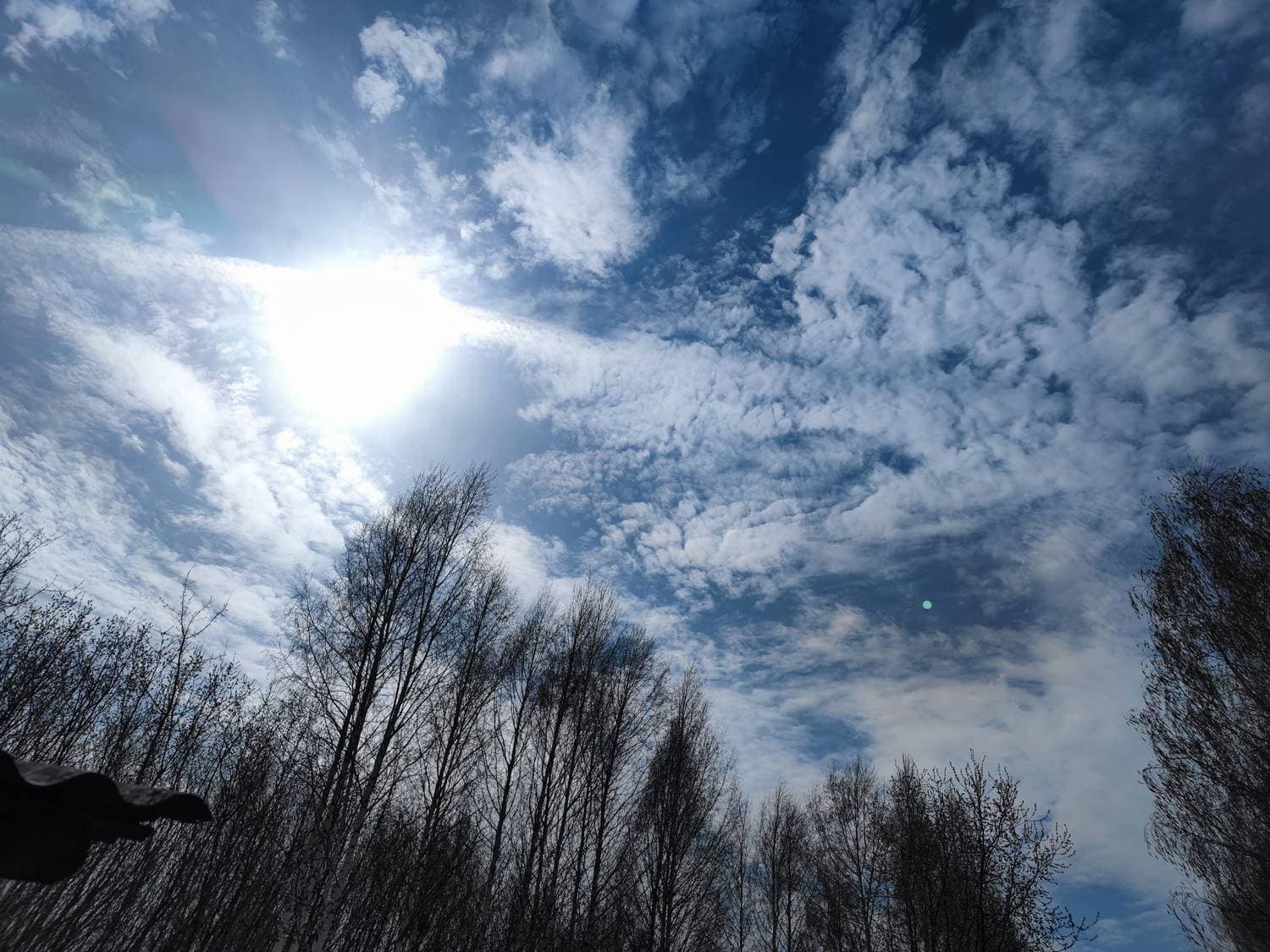 Травка зеленеет 🌿🌱солнышко блестит ☀️