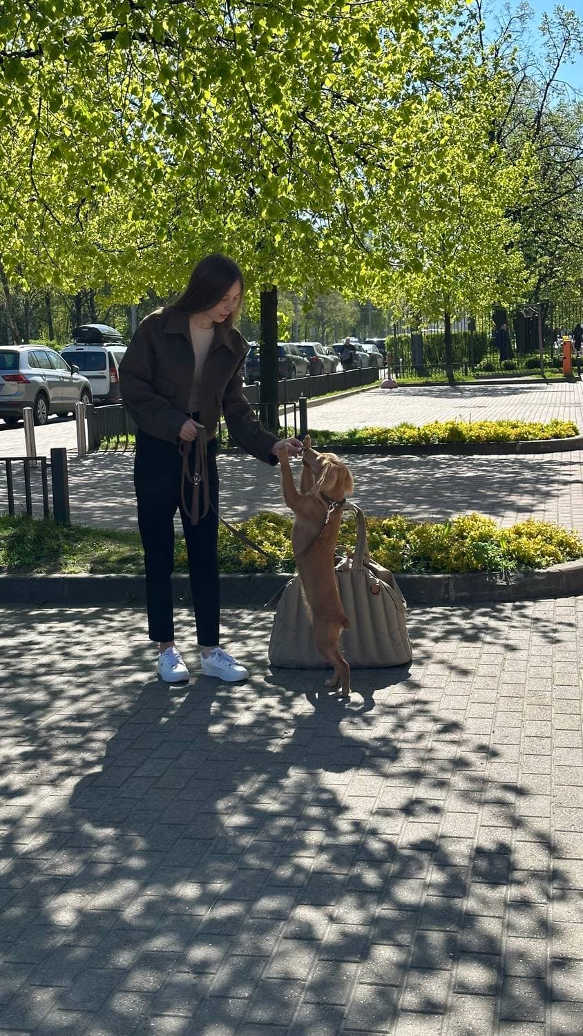 🐕
