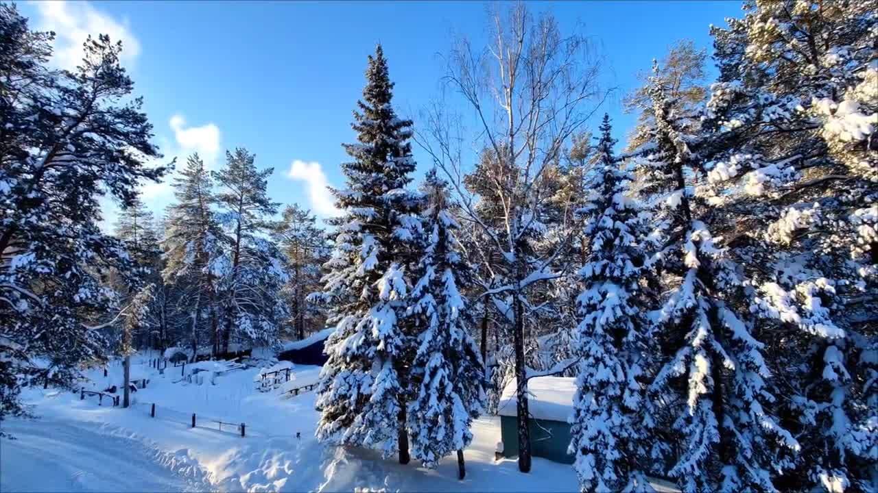 Всех с началом новой недели😌
После нескольких дней метели- сегодня чудесный день ☀️🙂