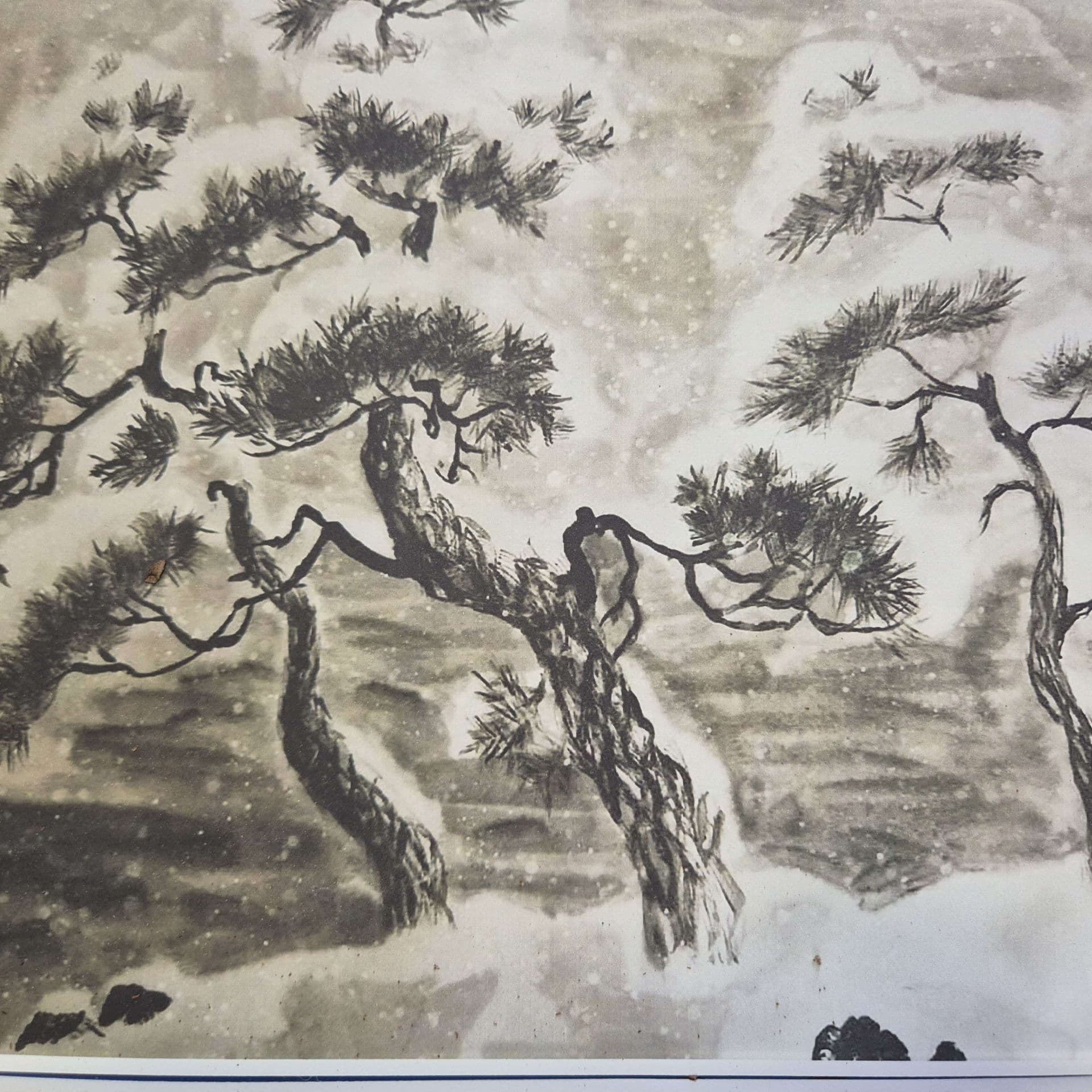 Мастер - класс 🎨🖼