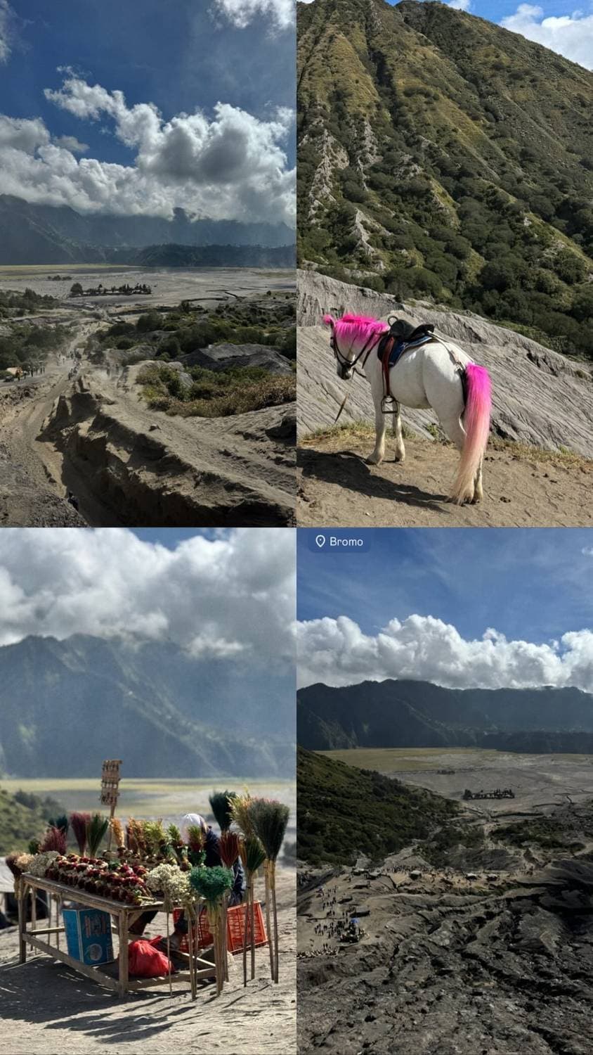 🌋