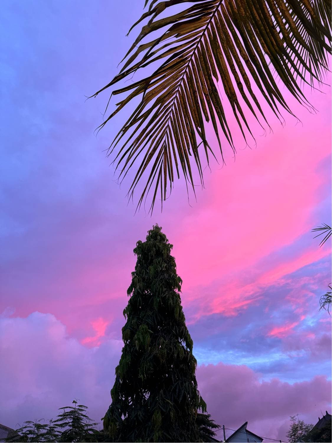 🇮🇩