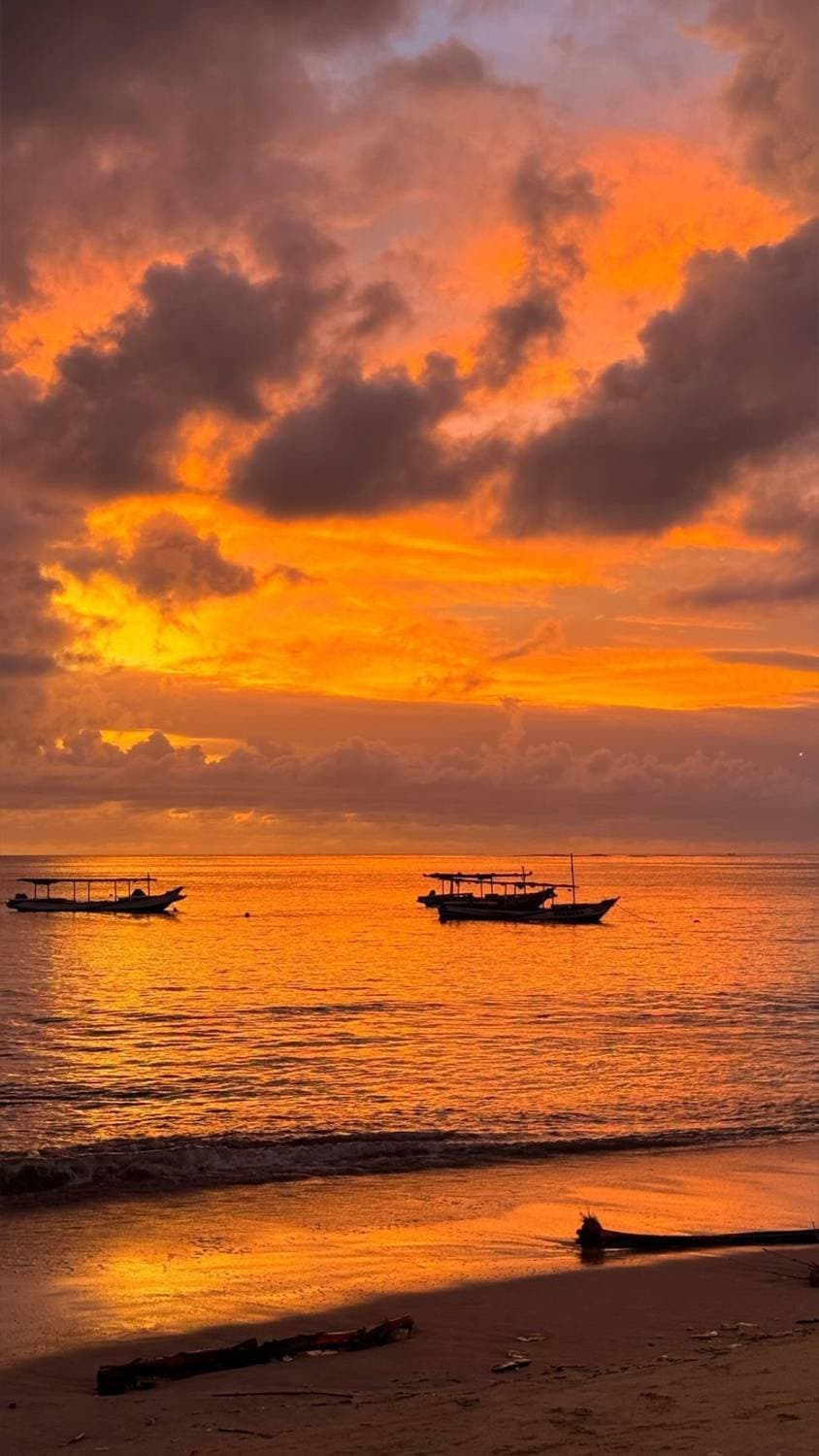 🇮🇩