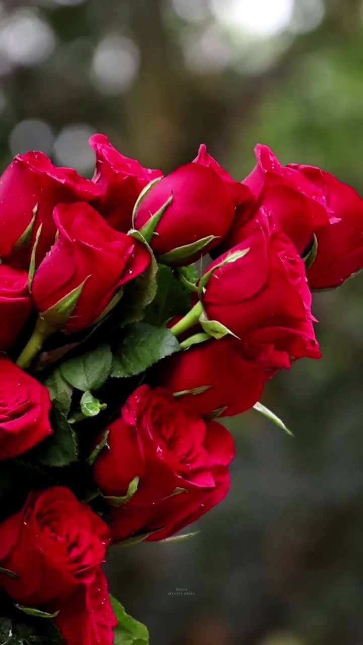 💐