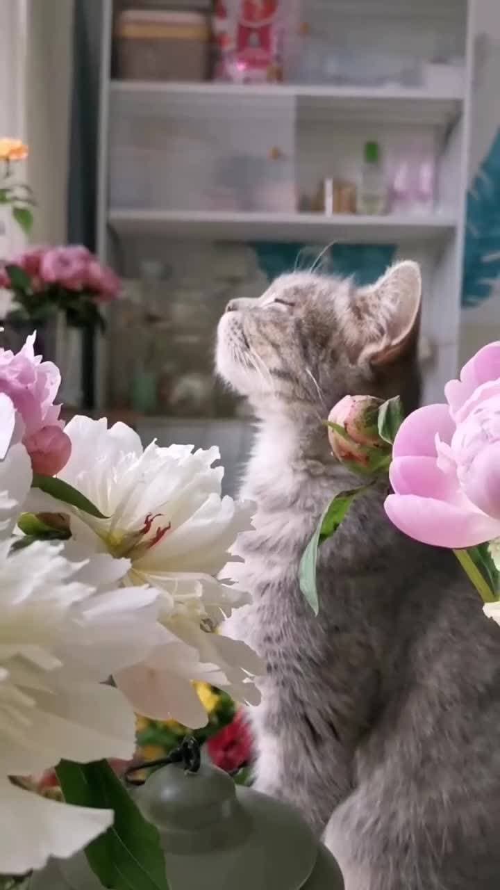 😍