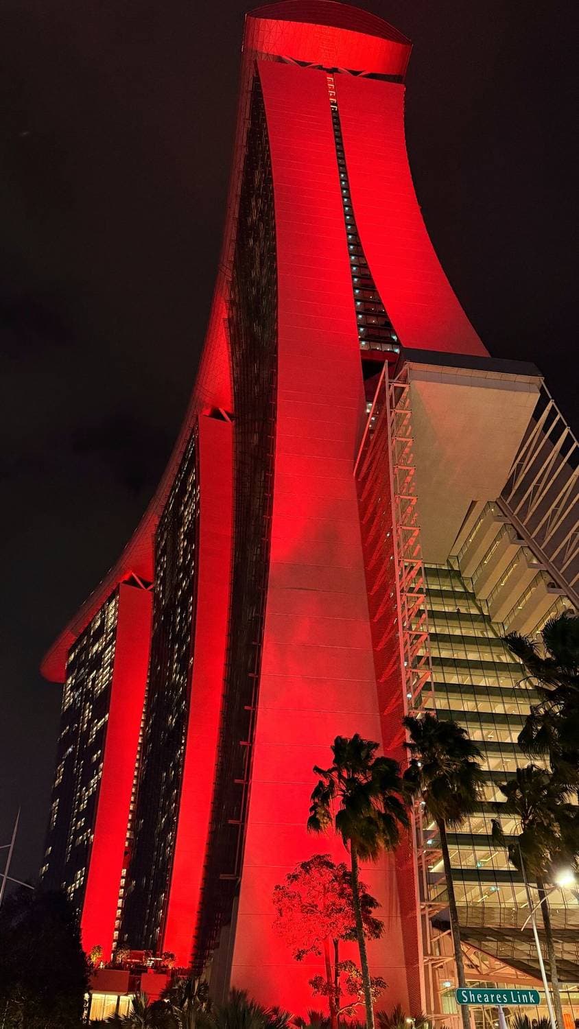 🇸🇬