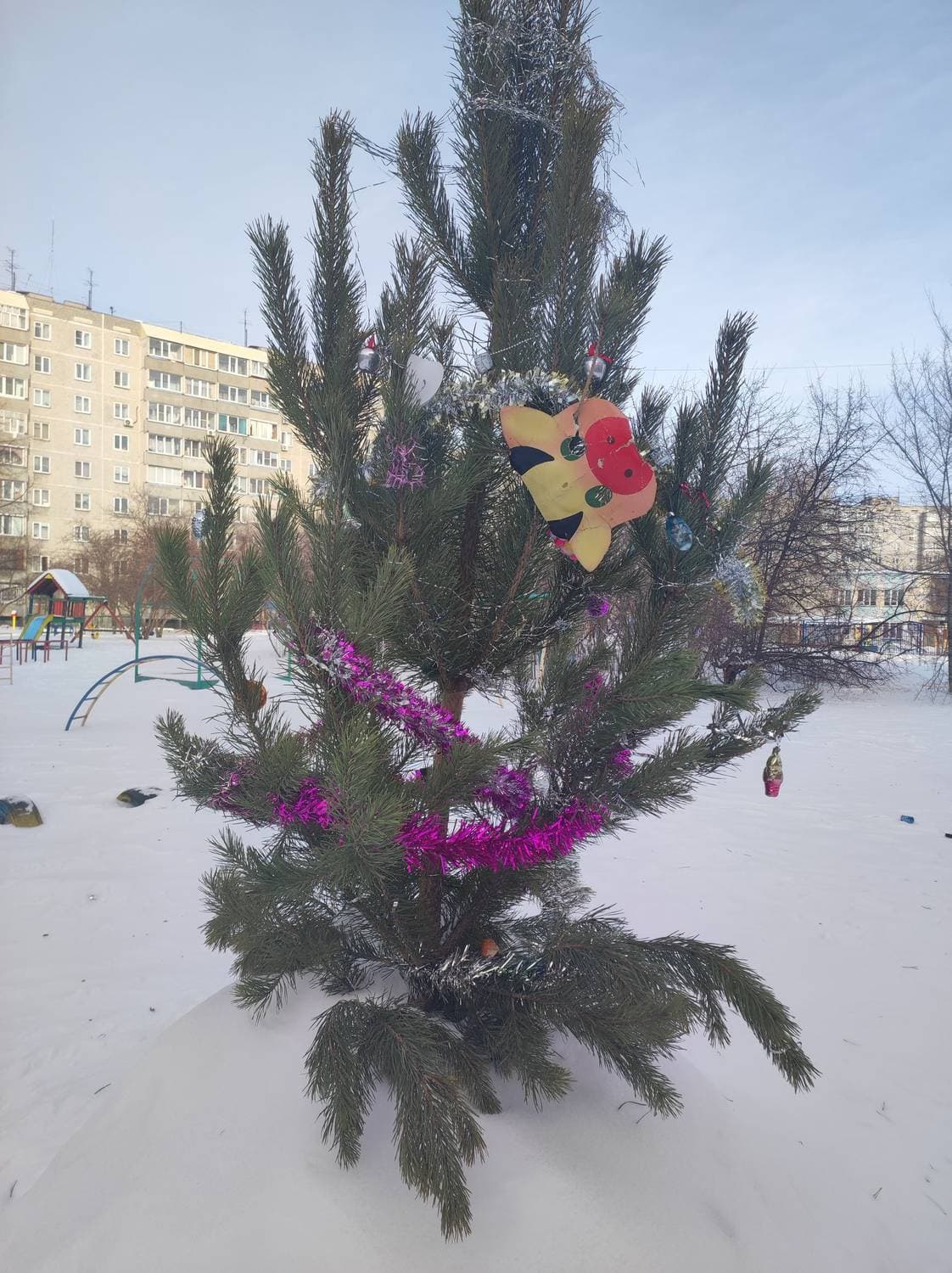 ёлочка во дворе