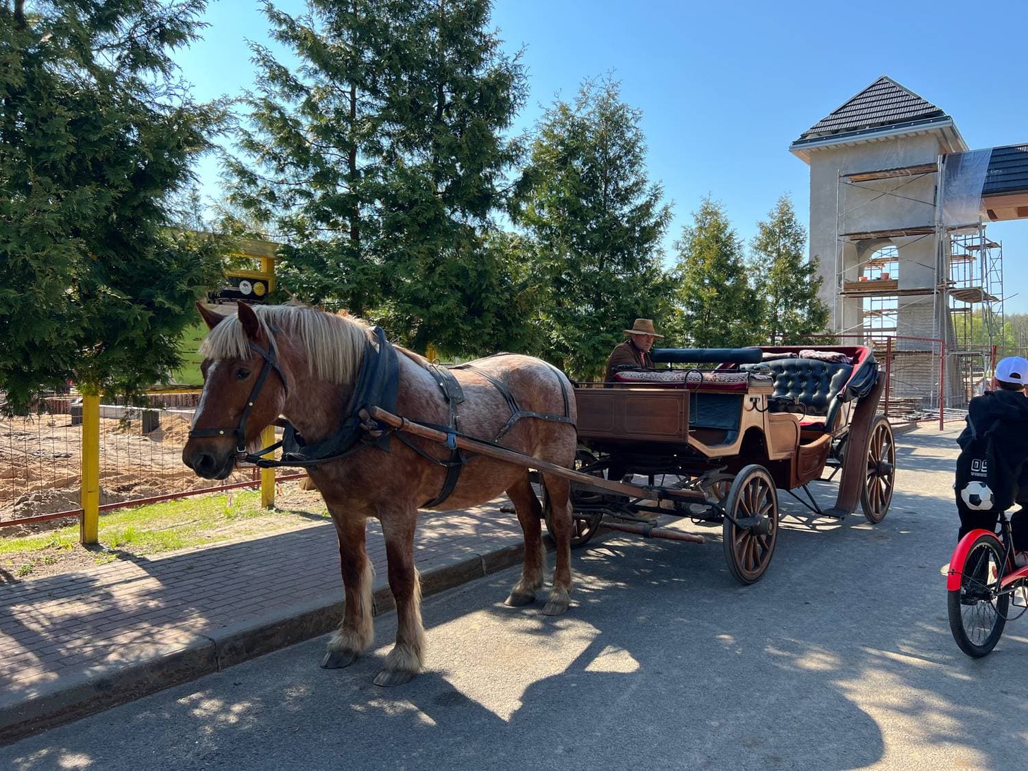 📍Беловежская пуща